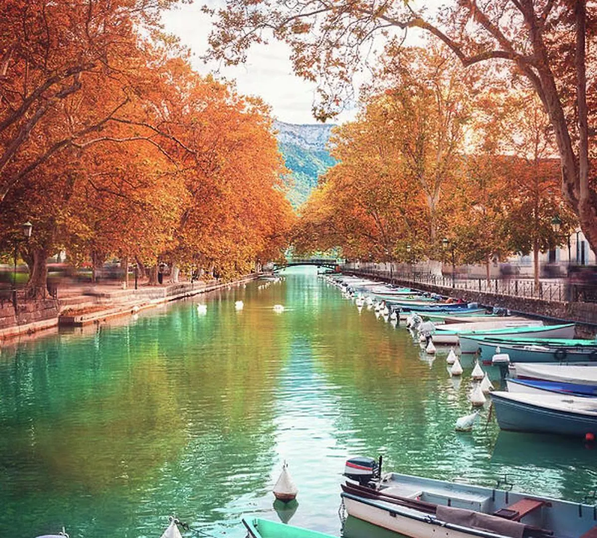 Le Coquelicot 3 Etoiles - Proche Vieille Ville, Calme & Confort Annecy 0*,